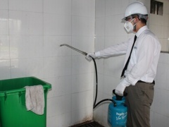 专业守护，健康无忧——柳州专业灭蟑螂与消毒服务全解析